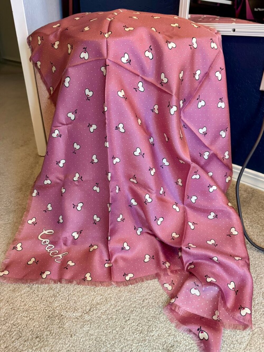 Coach Silk Scarf